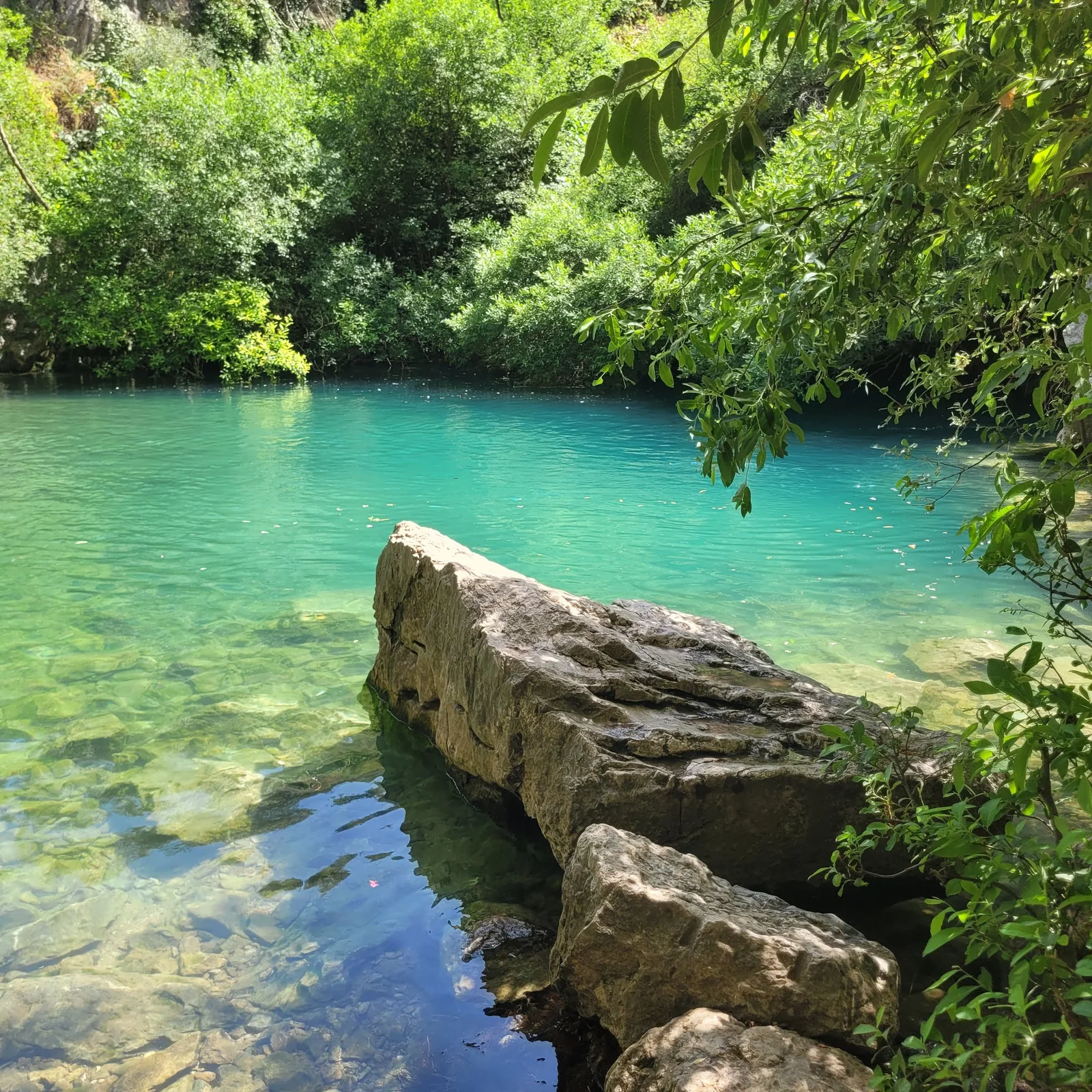 Turquoise river pool surrounded by leafy woodland in the Sierra de Grazalema near Montejaque