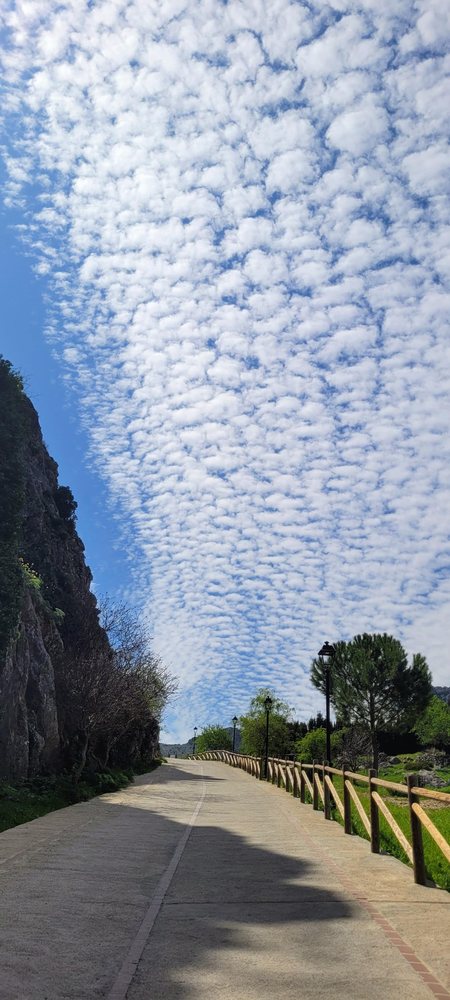 Mountain Path