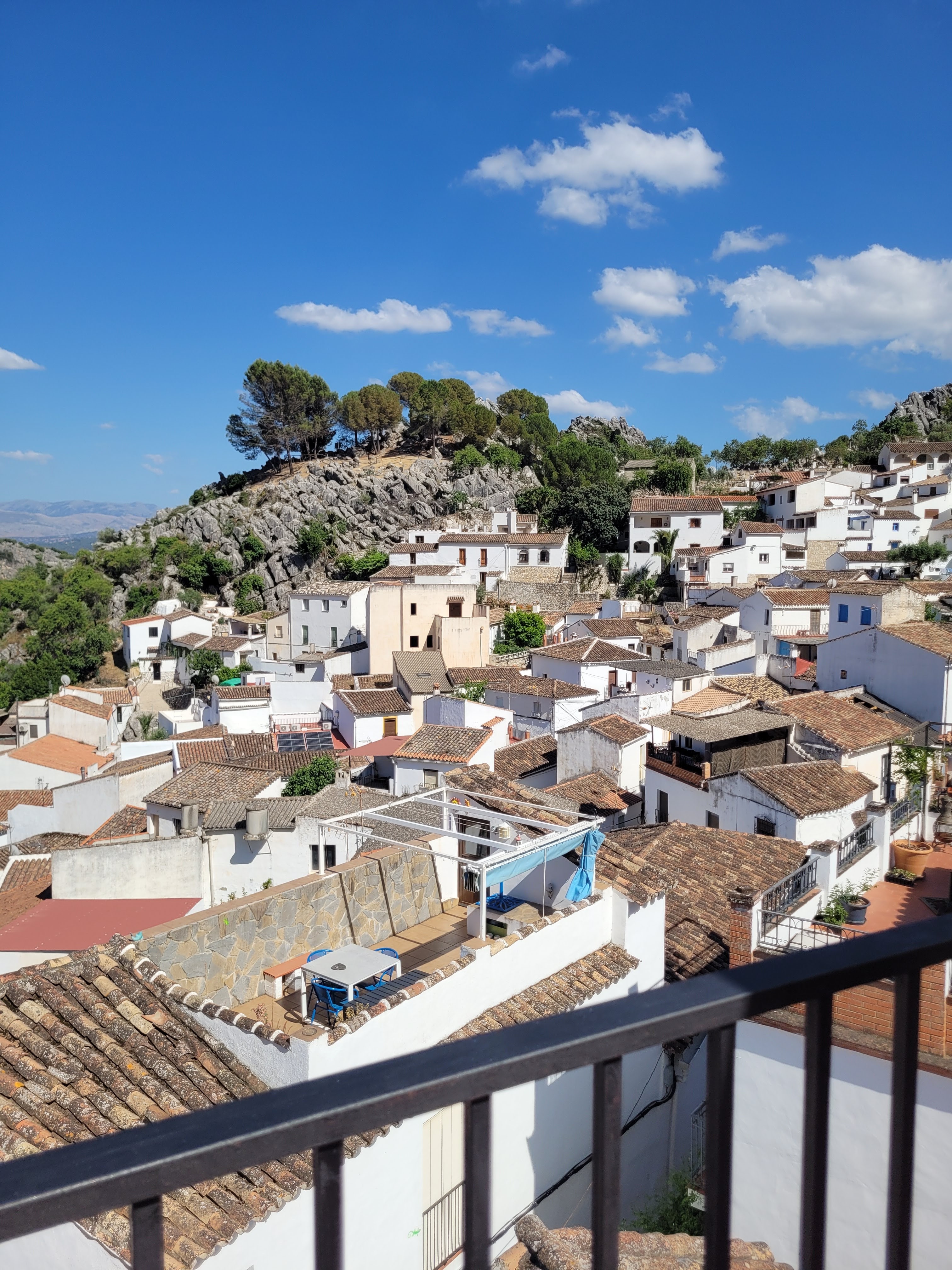 Village View from the Terrace